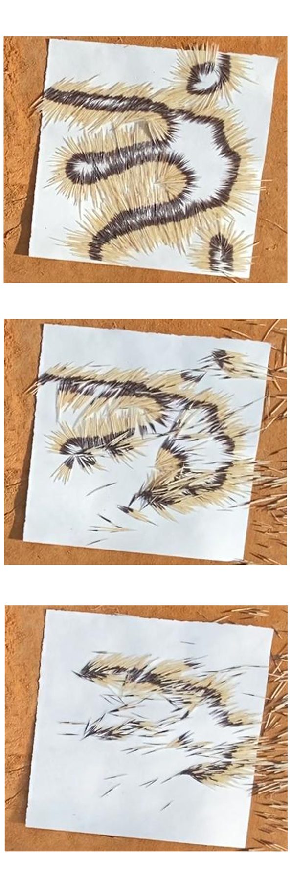 quill still 3